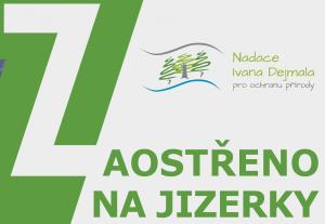 výstava
